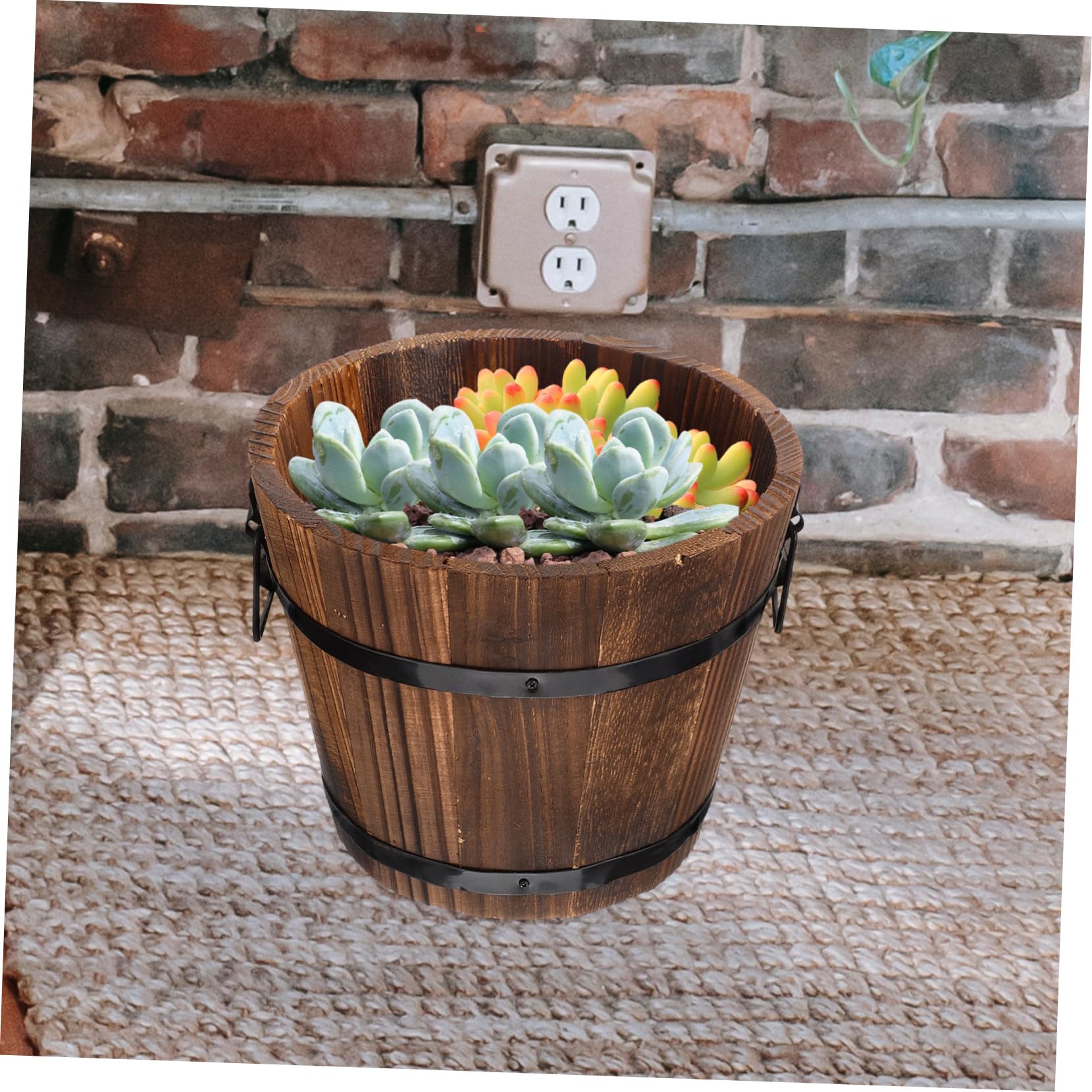 Amazon.co.jp: HANABASS 実木炭化木多肉植物プランター2個セット